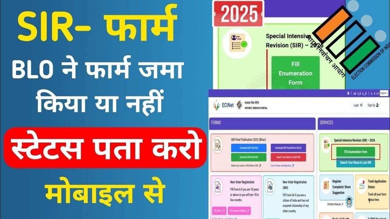 SIR Form Status Check